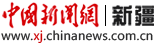 新疆电网上半年乡村充电桩接入量、报装容量实现爆发式增长